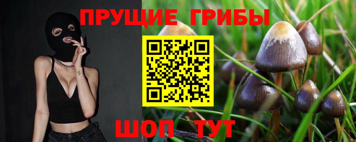 Фрязино  Псилоцибиновые грибы мухоморы  Вход с VPN 